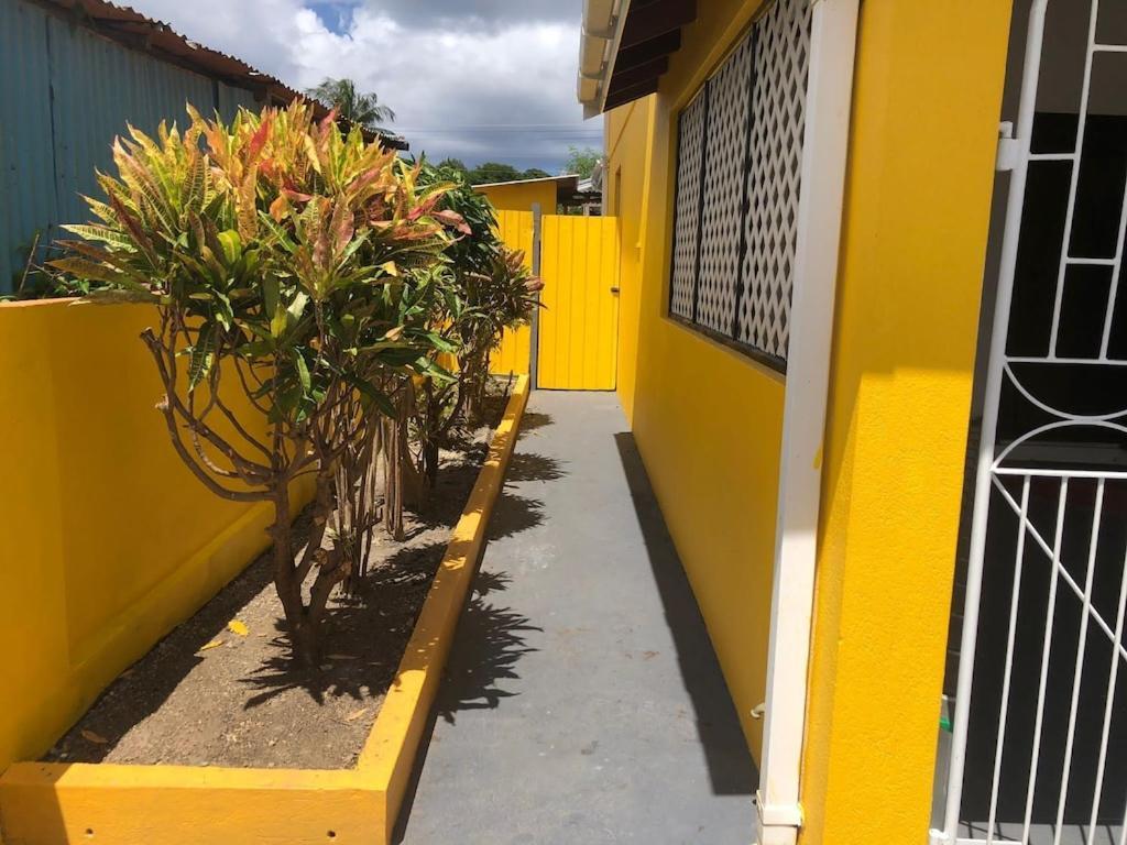 布里奇敦Donamae 2 Story Barbados House别墅 外观 照片